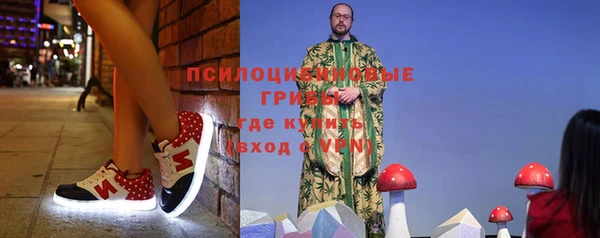 крисы Надым